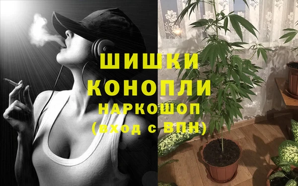 амф Сосновка