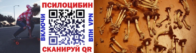 Галлюциногенные грибы Psilocybine cubensis  цена наркотик  Егорьевск 