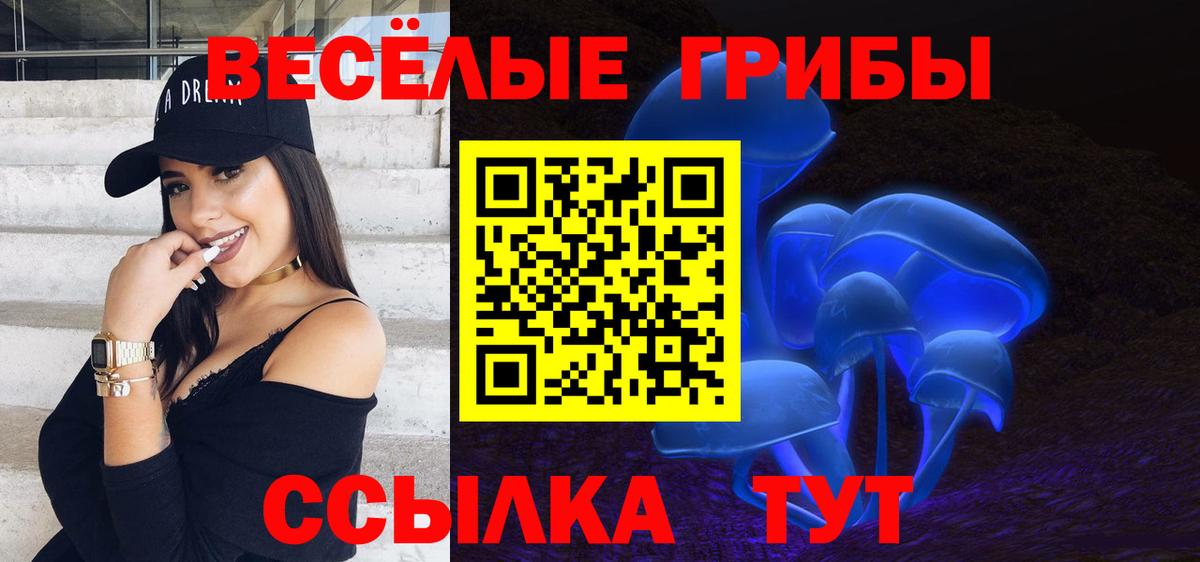 Галлюциногенные грибы мухоморы  Галлюциногенные грибы ЛСД  Вход с VPN  Егорьевск 
