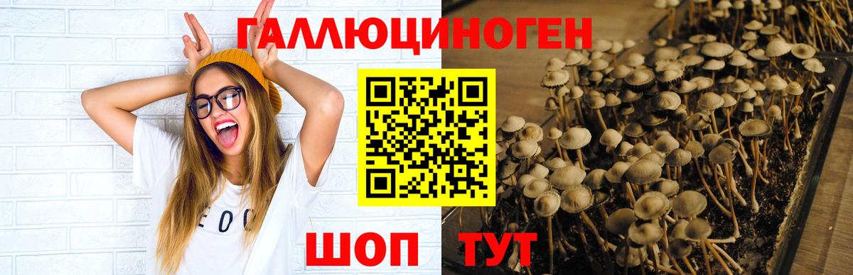 Галлюциногенные грибы мицелий Егорьевск