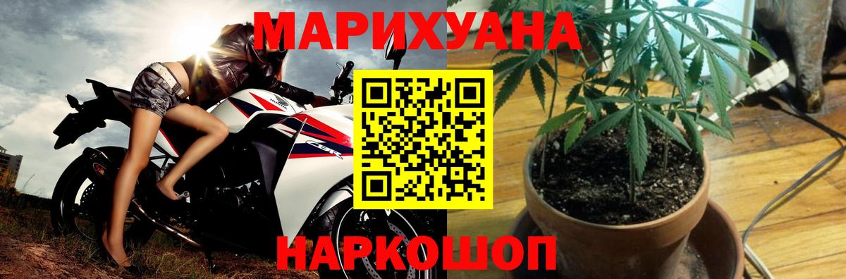 Каннабис план Егорьевск